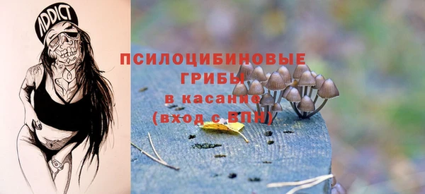 сатива Абаза